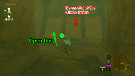 Zelda Tears of the Kingdom TotK Choose the Panel on the Left