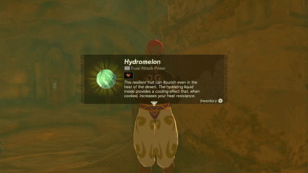 Zelda Tears of the Kingdom TotK Receiving Hydromelons