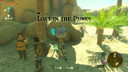 Zelda Tears of the Kingdom TotK Orb from Kara Kara Bazaar