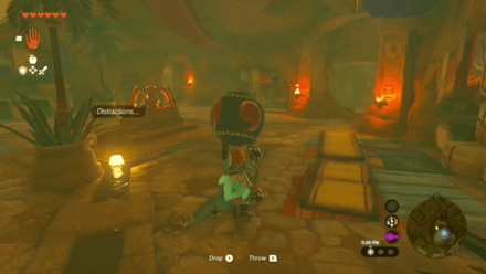 Zelda Tears of the Kingdom TotK The Orb From Rotana