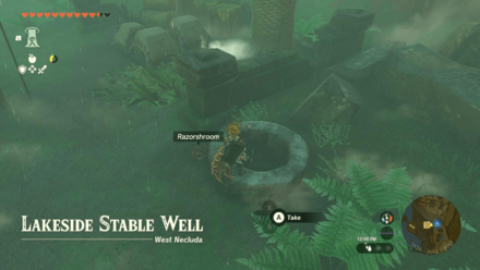 Lakeside Stable Well Entrance Overworld Image