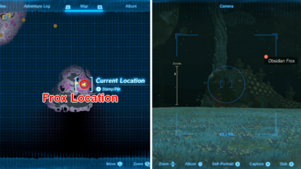 TOTK - A Monstrous Collection IV - Frox Location