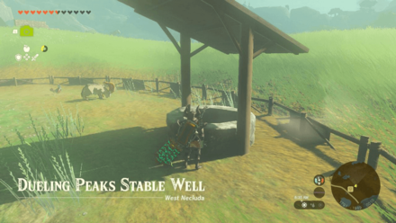 Dueling Peaks Stable Well Entrance Overworld Image