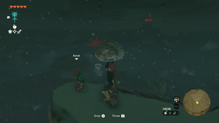 TotK - Korok Seed