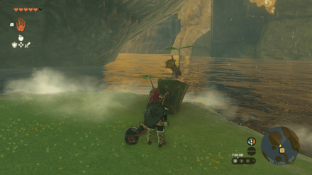 TOTK - Wetland Stable Korok Seed