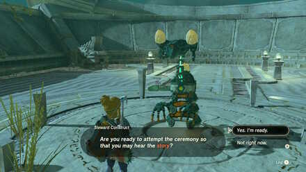 Steward Construct on top of the Temple of Time