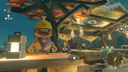 Zelda TotK - Look For Pelison