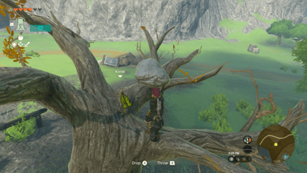 TotK - Korok Seed