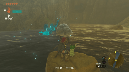 TotK - Korok Seed
