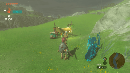 TotK - Korok Seed x2