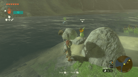 TotK - Korok Seed