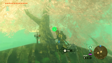 Tears of the Kingdom - Forest Dweller