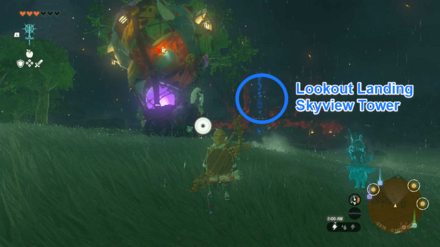 Zelda TotK - Koltin Hyrule Field