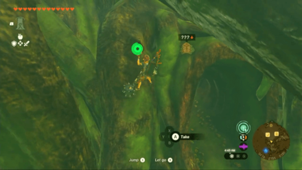 Tears of the Kingdom - Forest Dweller