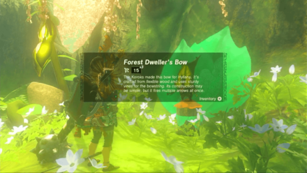 Tears of the Kingdom - Forest Dweller