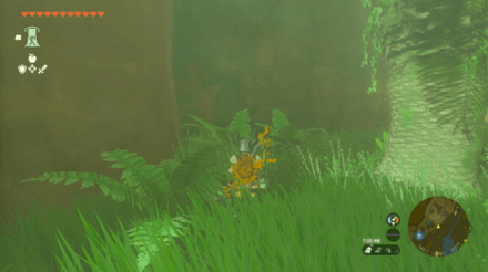 Ubota Point Cave Entrance Overworld Image