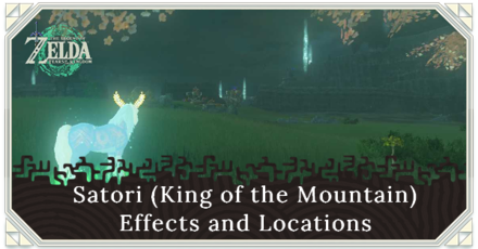 Zelda TotK -  Satori (King of the Mountain) Effects and Locations