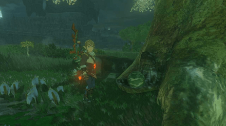 Zelda TotK - Summon Satori by Offering Fruits