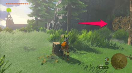 Shrine of Resurrection Entrance Overworld Image