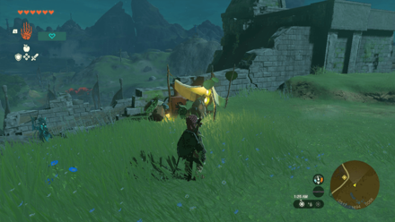 TotK - Korok Seed x2