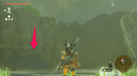 Tears of the Kingdom TOTK - Oakle