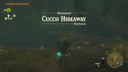 Cucco Hideaway Entrance Overworld Image