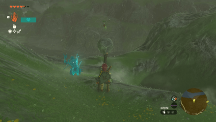 TotK - Korok Seed