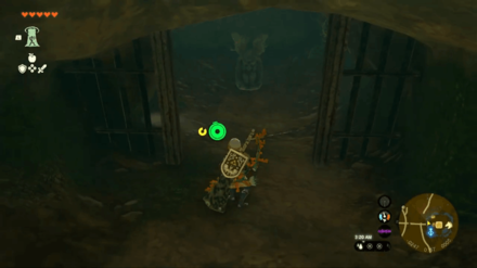 Zelda Totk - Royal Hidden Passage