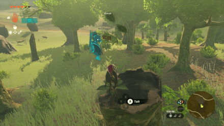 TotK - Korok Seed