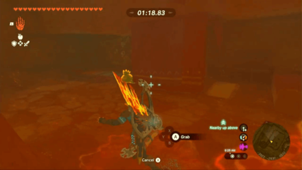 Zelda Tears of the Kingdom Totk - Dalia