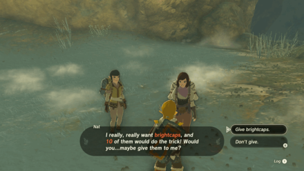 TotK - Talk to the Sisters