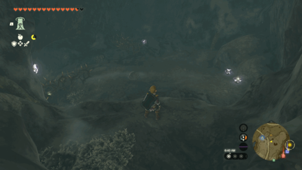 TotK - Brightcaps Inside the Cave