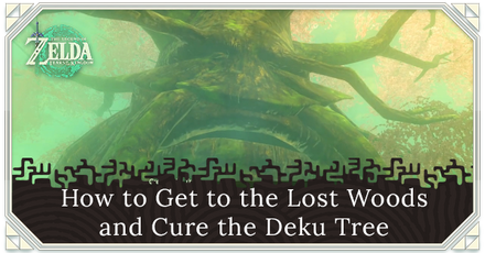 Zelda TOTK - How to Get to the Lost Woods and Cure Deku Tree