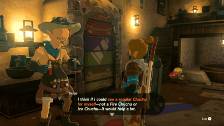 Zelda Tears of the Kingdom TotK - Talk to Sayge