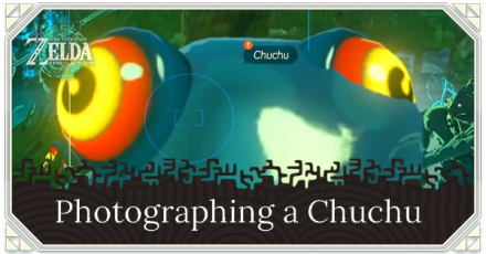 Zelda Tears of the Kingdom TotK - Photographing a Chuchu Top Banner