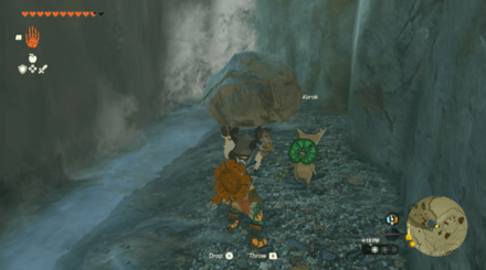TotK - Korok Seed