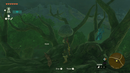 TotK - Korok Seed