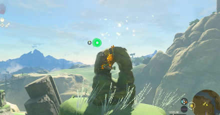 TotK - Korok Seed