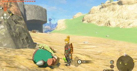 TotK - Korok Seed x2