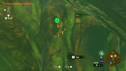 TotK - Finding the Forest Dweller