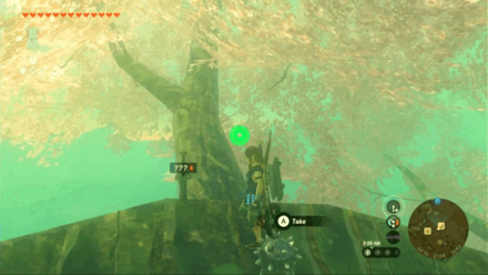 TotK - Finding the Forest Dweller