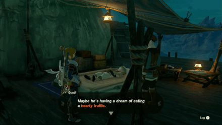 Zelda Tears of the Kingdom TotK - Find the Inn Owner