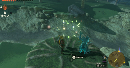 TotK - Korok Seed