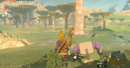 TotK - Korok Seed x2