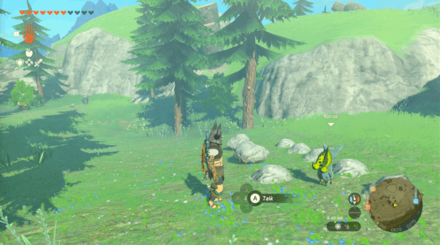 TotK - Korok Seed