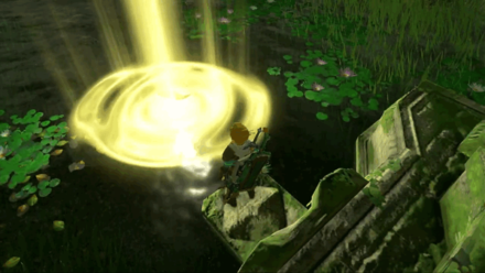 TotK - Offer Dinraal