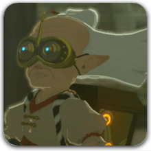 TOTK - Robbie Side Adventures