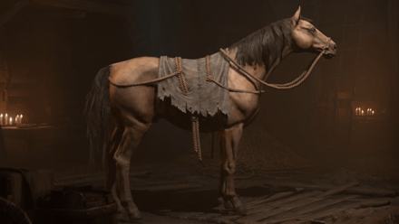 Diablo 4 - Old Nell Steed