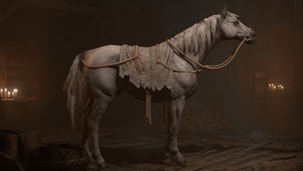 Diablo 4 - Grey Steed