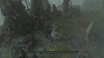 Diablo 4 - 12 to 16 Hours for Average Playthrough